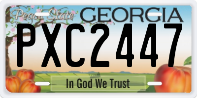 GA license plate PXC2447