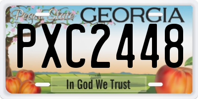 GA license plate PXC2448