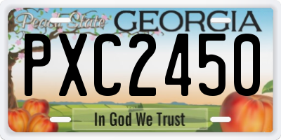 GA license plate PXC2450