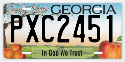 GA license plate PXC2451