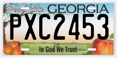 GA license plate PXC2453