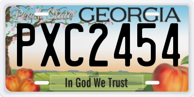 GA license plate PXC2454