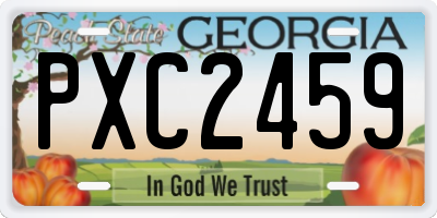 GA license plate PXC2459