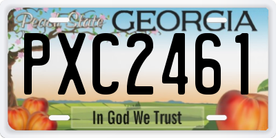 GA license plate PXC2461