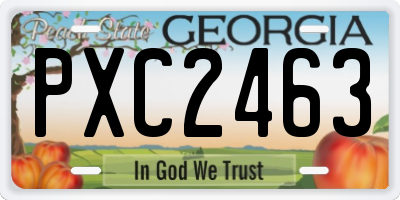 GA license plate PXC2463