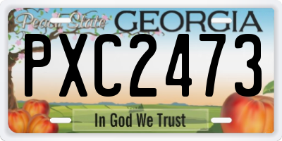 GA license plate PXC2473
