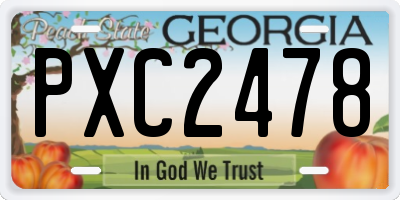 GA license plate PXC2478