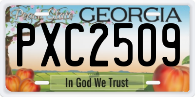 GA license plate PXC2509
