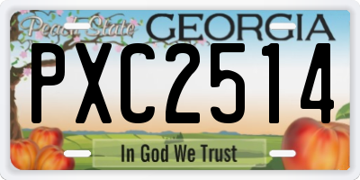 GA license plate PXC2514