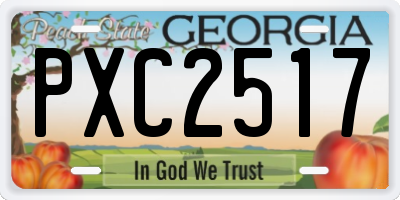 GA license plate PXC2517