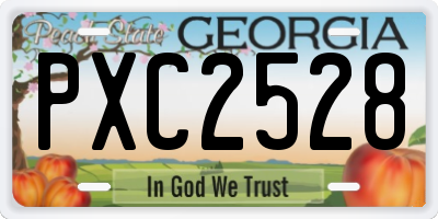 GA license plate PXC2528