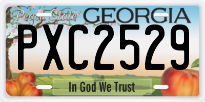 GA license plate PXC2529