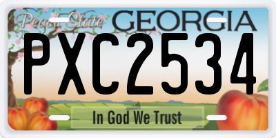 GA license plate PXC2534