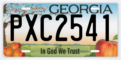 GA license plate PXC2541