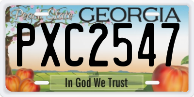 GA license plate PXC2547
