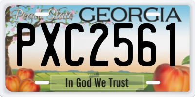 GA license plate PXC2561