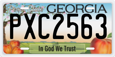 GA license plate PXC2563