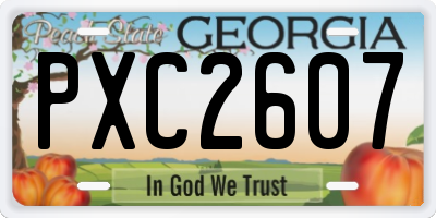 GA license plate PXC2607
