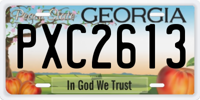 GA license plate PXC2613
