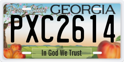 GA license plate PXC2614