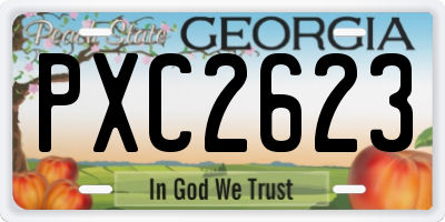 GA license plate PXC2623