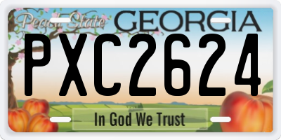 GA license plate PXC2624
