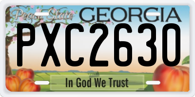 GA license plate PXC2630