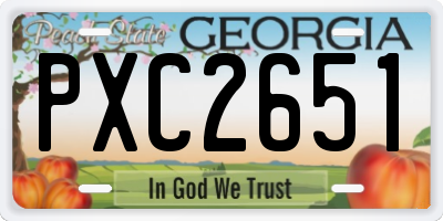 GA license plate PXC2651
