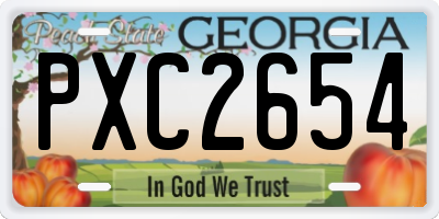 GA license plate PXC2654
