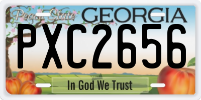 GA license plate PXC2656