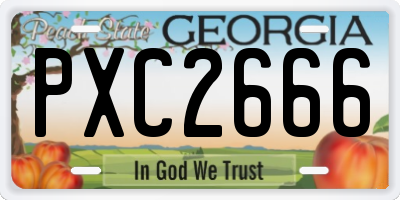 GA license plate PXC2666