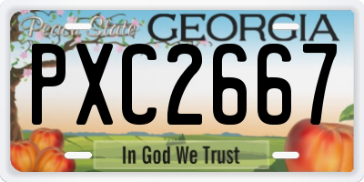 GA license plate PXC2667