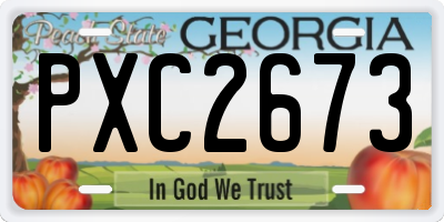 GA license plate PXC2673