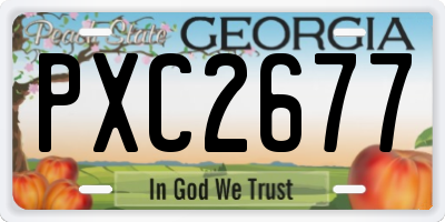 GA license plate PXC2677