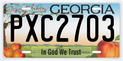 GA license plate PXC2703