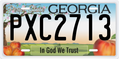 GA license plate PXC2713