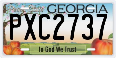 GA license plate PXC2737