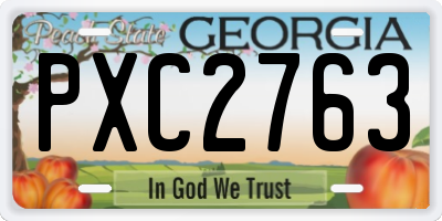 GA license plate PXC2763