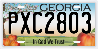 GA license plate PXC2803