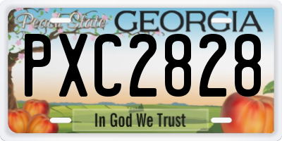 GA license plate PXC2828