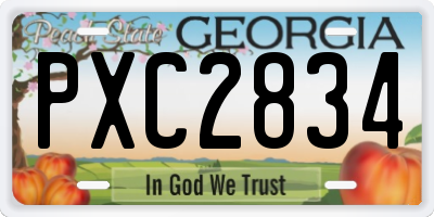 GA license plate PXC2834