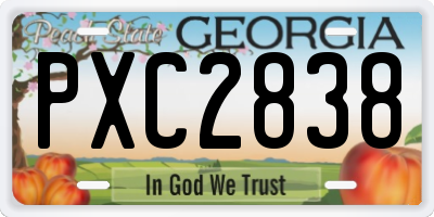 GA license plate PXC2838