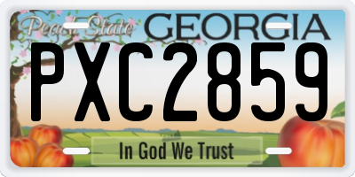 GA license plate PXC2859