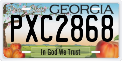GA license plate PXC2868