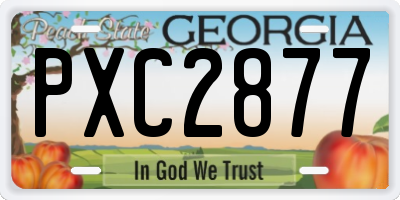 GA license plate PXC2877