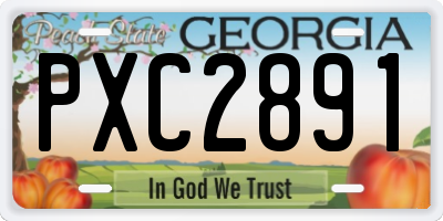 GA license plate PXC2891