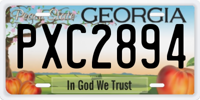 GA license plate PXC2894