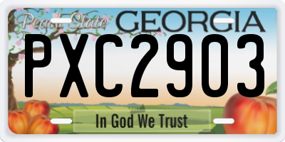 GA license plate PXC2903