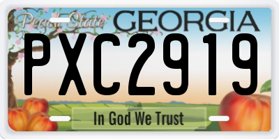 GA license plate PXC2919