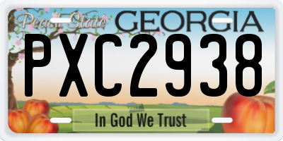 GA license plate PXC2938